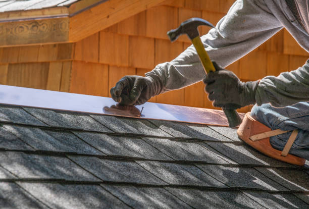 Best Roof Moss and Algae Removal  in Ruidoso, NM